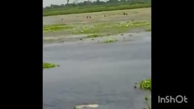 सलोन: समसपुर पक्षी विहार में मछलियों को मारने का दूसरा भी वीडियो सोशल मीडिया पर हुआ वायरल