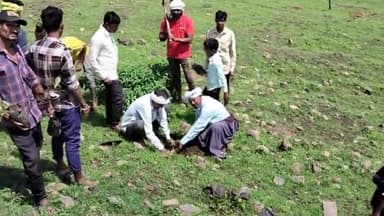 भगवानपुरा: जूना बिलवा स्थित पहाड़ी पर आदिवासी समाज के लोगों ने किया पौधारोपण, बड़ा करने का लिया संकल्प