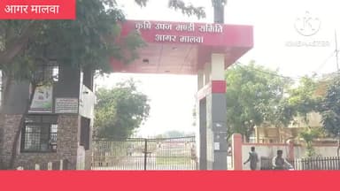 आगर: मोहर्रम के पर्व को लेकर आगर कृषि उपज मंडी में दो दिवस के लिए बंद रहेगा नीलामी का कार्य