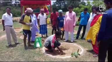 देवीपुर: सामाजिक वानिकी प्रमंडल देवघर द्वारा शहरपुरा गांव में मनाया गया वन महोत्सव