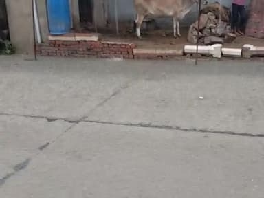 किशनगढ़ रेनवाल: #किशनगढ़ रेनवाल में #तेज बारिश सड़कों पर पानी #भरने लगा