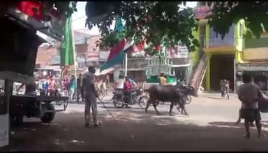 करपी: किंजर में मोहर्रम के मौके पर ताजिया जुलूस की निकाली गई झांकी