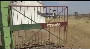 सरदारपुर: टिमाईची के मजरे तलावपाडा के किसानों को दिलाया गया रास्ता