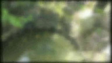 सागर नगर: मोतीनगर थाना क्षेत्र के ग्राम रजौआ में कुएं में गिरने से युवक की हुई मौत, सूचना पर पुलिस और SDERF की टीम मौके पर पहुंची