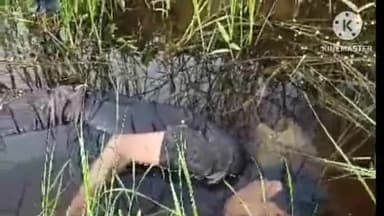 दीगोद: सुल्तानपुर में सड़क किनारे एक ड्रेन में संदिग्ध अवस्था में मिला एक युवक का शव पुलिस ने करवाया पोस्टमार्टम जांच में जुटी