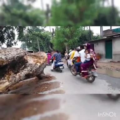 #गया –बोधगया मार्ग में केंदुआ समीप तेज हवा से गिरा पेड़, लगभग बीस दिन बीतने के बाद भी नहीं हटा सड़क से पेड़।