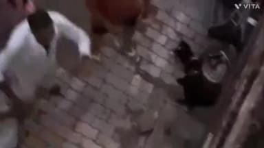 अम्बाला: सूर्य नगर में बदमाशों ने घर में घुसकर कर किया हमला महिलाओं के फाड़े कपड़े  पुलिस ने किया मामला दर्ज