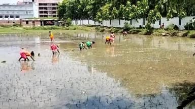 गया टाउन सीडी ब्लॉक: बिहार में 49 % ही हो सकी है धान की रोपनी, अगले महीने वर्षा की है संभावना: कृषि मंत्री कुमार सर्वजीत