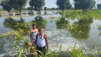 नागौर: चूंटिसरा ग्राम पंचायत के खेतों में आया नागौर शहर का सीवरेज का पानी, किसानों की फसलें चौपट