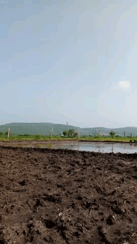 हिण्डोली: बारिश नही आने के कारण चावल की खेती में देरी , खेत खाली पड़े हुए है किसान करे तो करे क्या #kishanprotest #indianpolitic