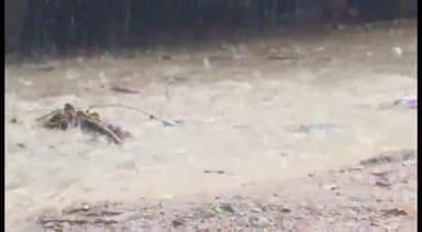 पैलानी: झमाझम बारिश से किसानों के चेहरे खिले, धान चना ज्वार बाजरा की फसल को होगा फायदा,बारिश ने दी राहत ।