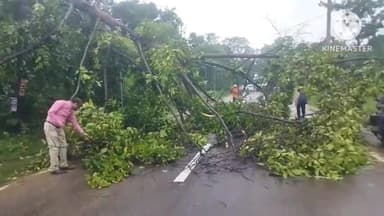 पतरातू: पतरातू के एनटीपीसी गेट के समीप रोड पर गिरा पेड़, विद्युत आपूर्ति हुई बाधित