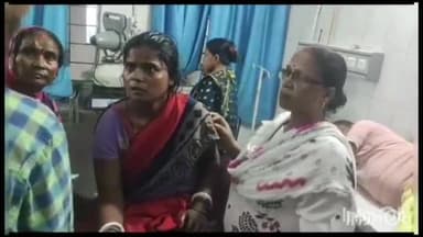 खगड़िया: कुल्हरिया में जहरीले सांप ने महिला को डंसा, हुई मुर्छित, सदर अस्पताल में भर्ती