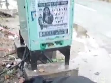 सामनेघाट मार्ग पर साहनी गेस्ट हाउस के समीप करेंट की चपेट में आने से बछड़े की मौत