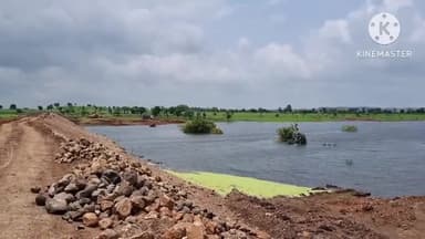 आगर: वेक्टर जनित रोग नियंत्रण के लिए जिले के विभिन्न तालाबों में स्वास्थ्य विभाग ने 94000 लार्वाभक्षी गम्बुसिया मछलियां छोड़ी