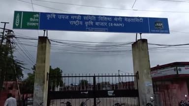 मेड़ता: कृषि उपज मंडी मेड़ता सिटी में जीरे के भाव आया उछाल, 62 हजार प्रति क्विंटल में बिका जीरा