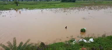 ବିରିଡି: ଦଳେଇଘାଇ ନିକଟରେ ଚଳିତ ବର୍ଷର ପ୍ରଥମ ବନ୍ୟା ଜଳ ପ୍ରବାହିତ ହେଉଥିବାରୁ ସ୍ଥାନୀୟ ପଠାରେ ବ୍ୟାପକ ପନିପରିବା ଚାଷ ନଷ୍ଟ