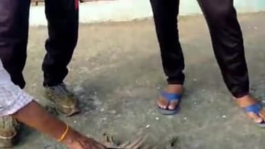 खुरई: खुरई के शास्त्री वार्ड में करंट लगने से एक मोर की हुई मौत, वन विभाग ने कराया मोर का अंतिम संस्कार