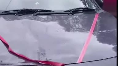 रतलाम नगर: अमृत सागर कॉलोनी में नीम का पेड़ गिरने से दो पहिया वाहन व चार पहिया वाहन क्षतिग्रस्त, बाल बाल बचे रहवासी