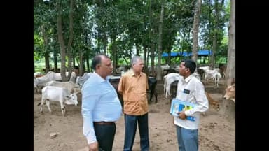 इकौना: मुख्य पशु चिकित्साधिकारी द्वारा बेल्हा राघव वा रमवापुर गौ आश्रय स्थल का निरीक्षण कर लिया जायजा