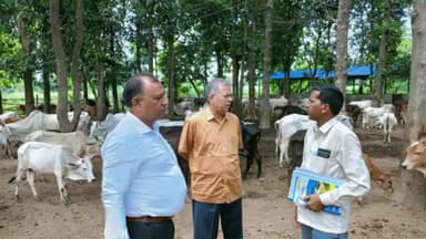 इकौना: बेलहा राघव व रमवापुर गौ आश्रय स्थल का डीएम के निर्देश पर मुख्य पशु चिकित्सा अधिकारी ने निरीक्षण कर लिया जायजा