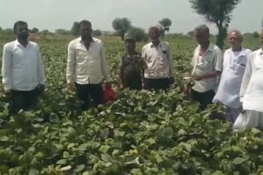 नागौर: नागौर में एक किसान ने जिला कलक्टर को सौंपा ज्ञापन
दुकानदार द्वारा गलत कीटनाशक देने का लगाया आरोप