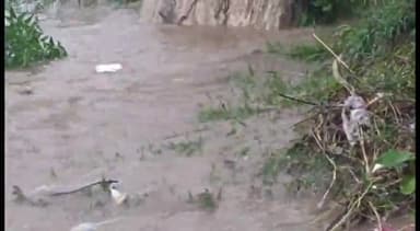 पैलानी: बांध से खोला गया तीन फाटक केन का जलस्तर बढ़ा कई गांव होंगे बाढ़ से प्रभावित डीएम ने बाढ़ चौकियों के निगरानी के दिए आदेश।