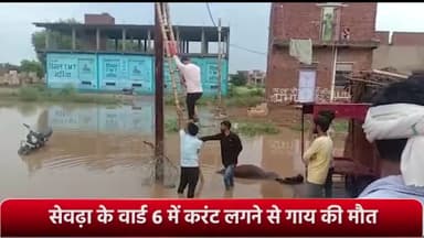 सेवढ़ा: सेवढ़ा के वार्ड 6 में करंट लगने से गाय की मौत