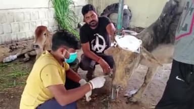 सिरोंज: नया बसस्टैंड स्तिथ पशु चिकित्सालय की हालत हो रही खराब,कुरवाई को डॉक्टर को दिया अतिरिक्त प्रभार,दवाई भी उपलब्ध नहीं