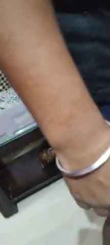 जानवर भी इंसान की भाषा को भली भांति पहचानते हैं तभी तो वो हमारे नेक वफादार साबित होते हैं, खुद देखिए मैं और मेरा जोड़ो