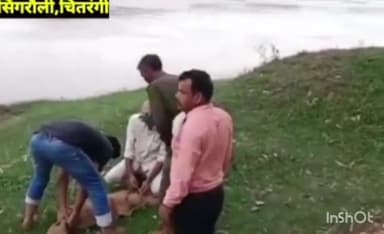 माडा: चितरंगी विकासखंड के ग्राम पंचायत धीरौली में सोन नदी से गांव में घुसा मगरमच्छ छेत्र में फैली सनसनी