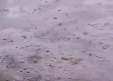 टीकमगढ़: जिले में लगातार हो रही बारिश, नयाखेरा गांव में पानी के साथ एक घर में घुसा सांप