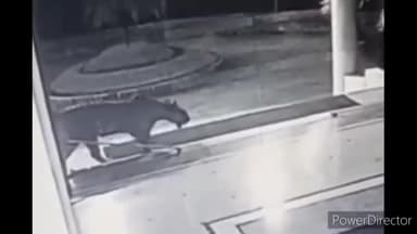 हुज़ूर: वन विभाग के एसडीओ आरएस भदौरिया ने जागरण यूनिवर्सिटी प्रबंधन को तार फेंसिंग ठीक कराने की दी समझाइश