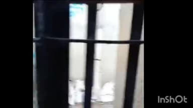 आगरा: थाना ट्रांसयमुना क्षेत्र निवासी युवती ने वीडियो वायरल  कर स्ट्रीट डॉग के लिए मांगी मदद,पड़ोसी पर लगाये मारपीट के आरोप