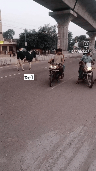 delhi & haridwar govindpuri modinagar main road 🛣️ par
#vlogsviral #@rana8017#DVR
#tv9bhartbarsh