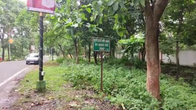 हज़ारीबाग: झील परिसर में जंगली सियार ने मॉर्निंग वॉक के दौरान 8 लोगों को काटा