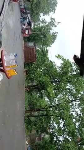 Bihar mein Mausam vibhag ke dwara Bhari Varsha ki aashanka jatai hai aur khagdiya sahit Kai jilon mein 7 se 9 August Tak