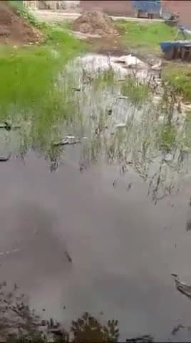 #सहसवान क्षेत्र में दो दिन से मृत गौवंश की दुर्दसा सूचना मिलने के बाद भी नहीं लिया गया संज्ञान खबर लिखे जाने तक कार्य.