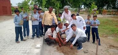 इसराना: राजकीय मीडिल विद्यालय जौधन कंला मे किसान भवन के प्रधान ने छात्रों के साथ मिलकर 101 पौधे लगाए, 51 छात्रो को किए वितरित