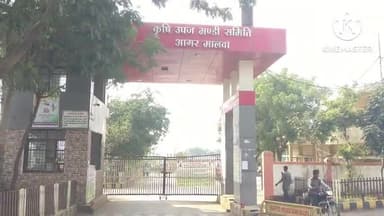 आगर: आगर कृषि उपज मंडी में सर्वाधिक आवक रही सोयाबीन की, भाव रहा 4935  से 4810 रुपए प्रति क्विंटल