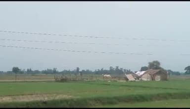 #तिलहर गढ़िया रंगीन फीडर की 11हजार HT लाईन बांस की लकड़ी के सहारे
जो दे रहा प्रतिदिन दुर्घटनाओं को दावत जिम्मेंदार मौन।