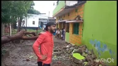 बिदुपुर: पीपल वृक्ष की डाल टूटकर गिरा, मचा अफरा तफरी