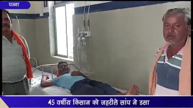 अजयगढ़: ग्राम सिंहपुर में 45 वर्षीय किसान को ज़हरीले सांप ने डंसा, सामुदायिक स्वास्थ्य केंद्र में कराया गया भर्ती