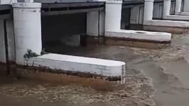 नौतन: वाल्मीकि नगर गंडक बराज से छोड़ा गया 240000 क्यूसेक पानी, दियारा के लोगों की बढ़ी परेशानी