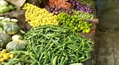 भदोही: खाद्य सुरक्षा एवं औषधि प्रशासनउत्तर प्रदेश लखनऊ के द्वारा जारीआदेश के क्रम मेंसब्जियों फलों काभदोही में नमूना इकट्ठा कर