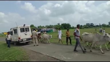 ब्यावरा: चंदेरी, भाटपुरा, सोंधिया, कांसोरखुर्द दोबड़ा एवं कांसोरकला में गोवंश को लेकर बनी विवाद की स्थिति; मौके पर पहुंचे अधिकारी
