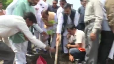 हुज़ूर: मुख्यमंत्री शिवराज सिंह चौहान ने शुक्रवार को श्यामला हिल्स स्थित उद्यान में बरगद, कदंब और गुलमोहर के पौधे रोपे।