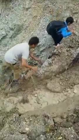 घाट: कनोल गांव के बड़गुना तोक के छात्र-छात्राएं जान जोखिम में डालकर कर रहे हैं आवाजाही