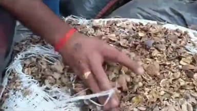 आगरा: आगरा में बड़ी मात्रा में पकड़े गए अवैध ड्रग्स के बारे में डीसीपी सिटी सूरज राय ने दी जानकारी,पुलिस जांच में जुटी