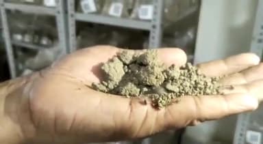 बक्सर: जिले में शुरू हुआ मेरी मिट्टी मेरा देश अभियान, जिले की मिट्टी से दिल्ली में बनेगी अमृत वाटिका